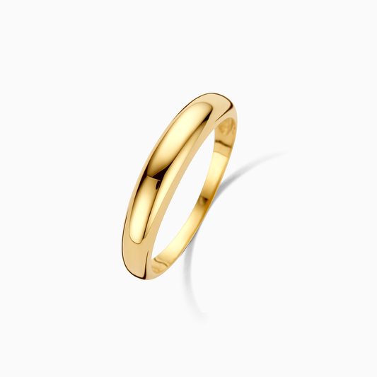 Elegant Dome Ring | Gold