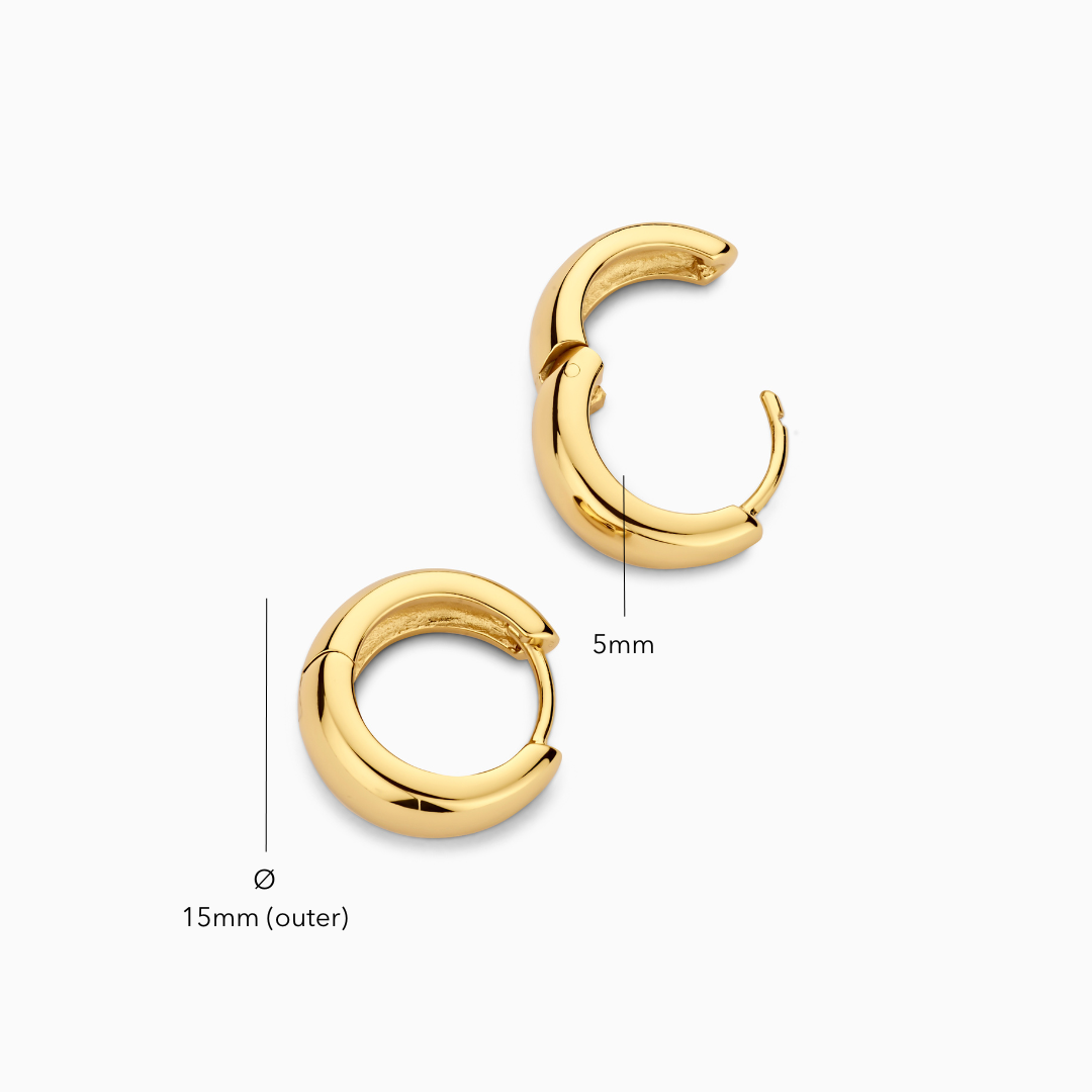 Elegant Hoop Earrings | Gold